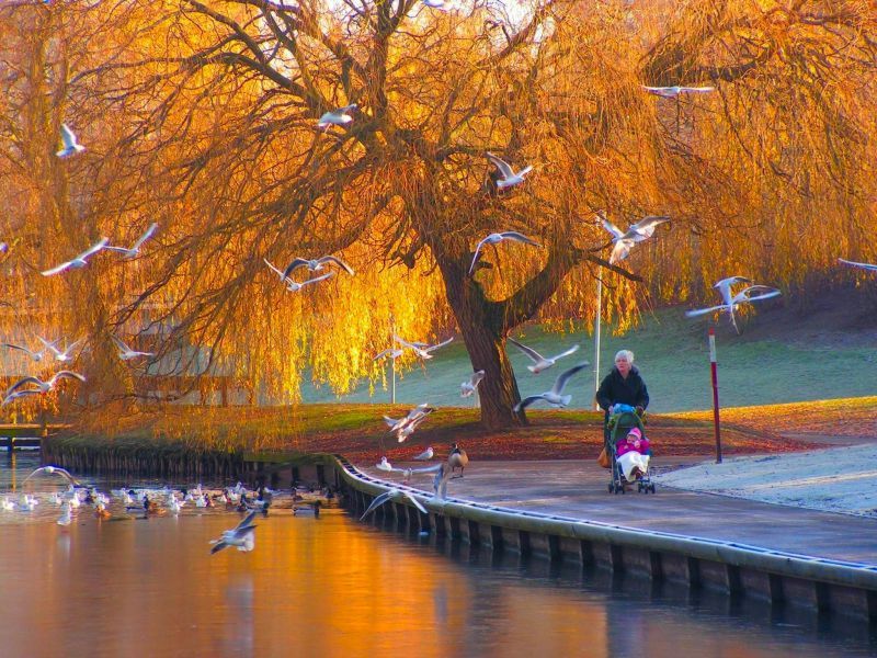 CLICK to see more pictures from the Photo Galleries