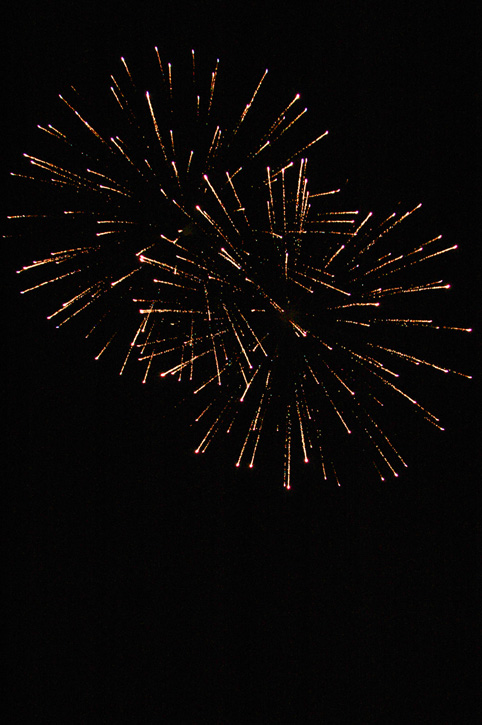 DSC_4650_E2(10)