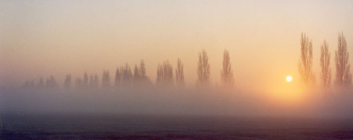 GP2005B09_Sunrise,Trees200dpi