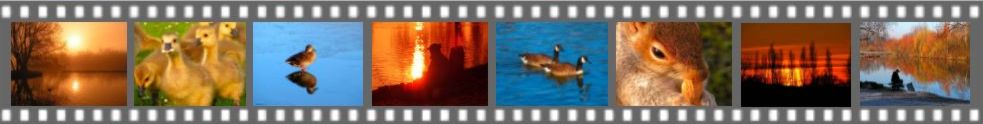 Film-strip Graphic